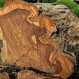 Штучный паркет  Штучный паркет Палисандр - 1