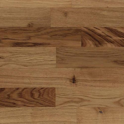    Focus Floor   FF Blanco Oak Prime