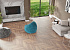 Кварц виниловый ламинат Alpine Floor Parquet Premium ECO 19-2 Дуб Royal - 2